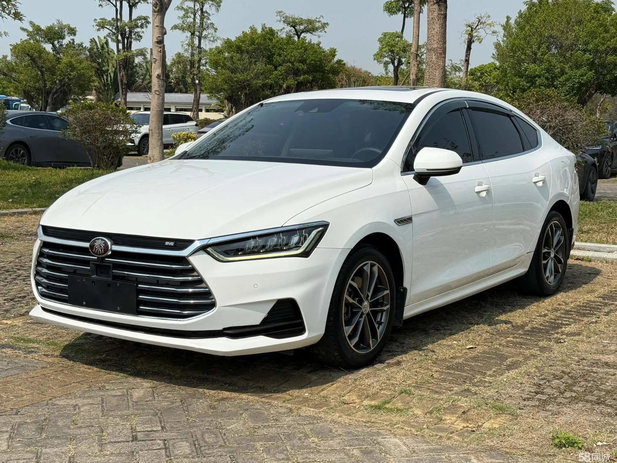BYD Qin Pro 2019 car image #2