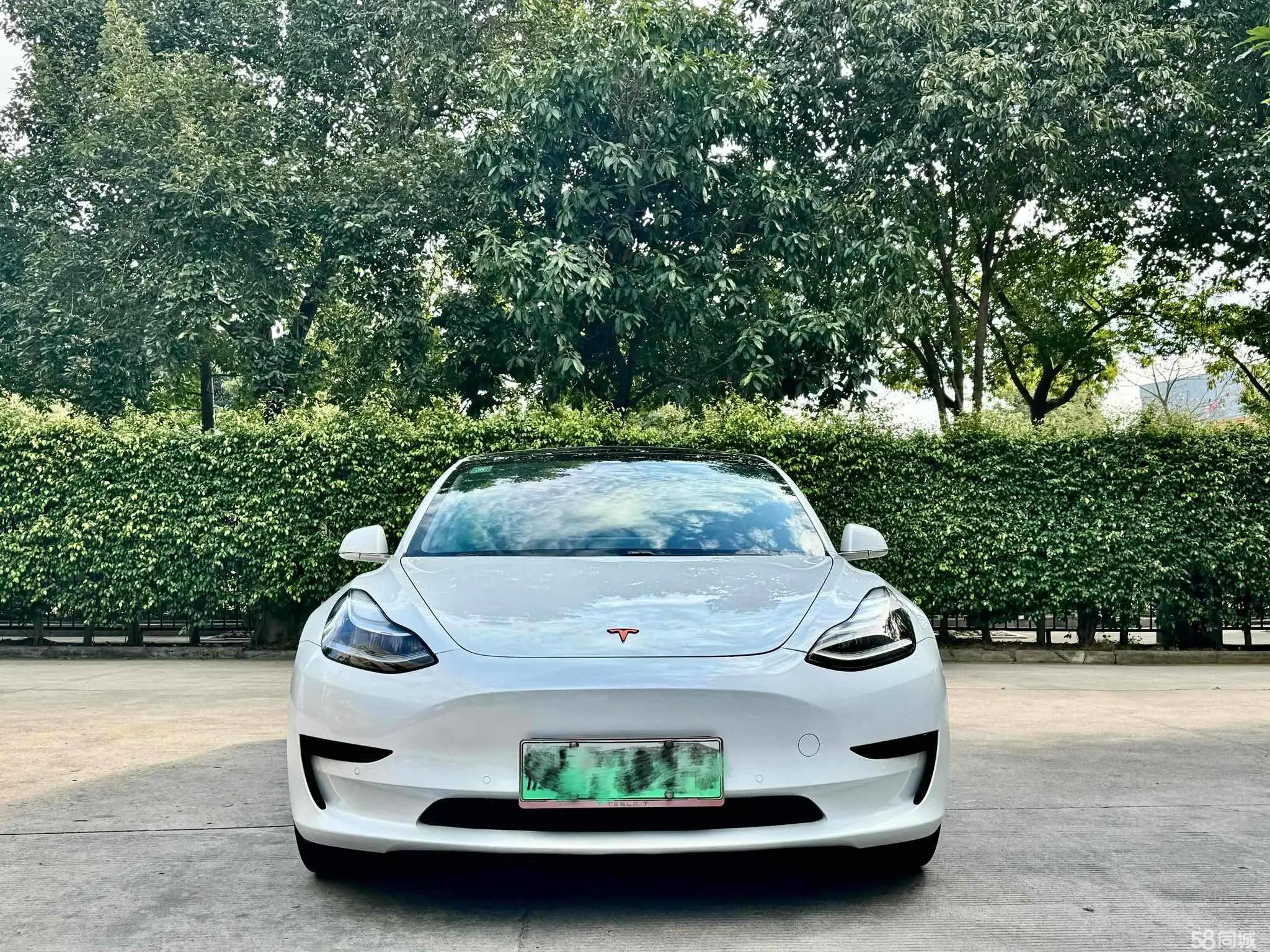 特斯拉 Model 3(进口) 2019 汽车图片 #2