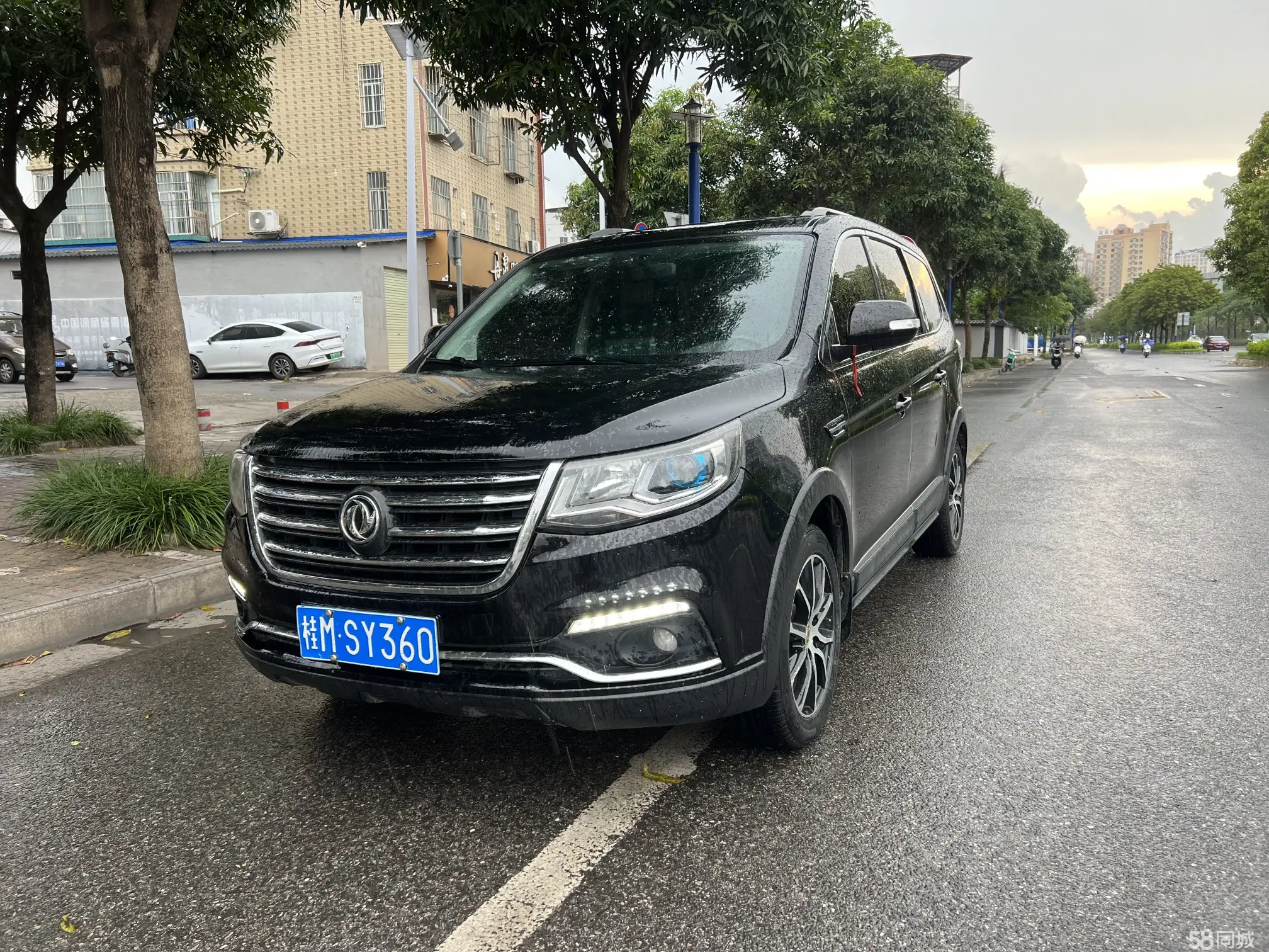 Forthing SX6 2018 immagine di auto #2