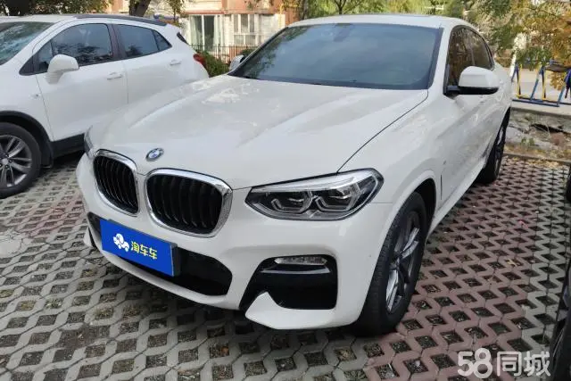 BMW X4 2019 car image #2