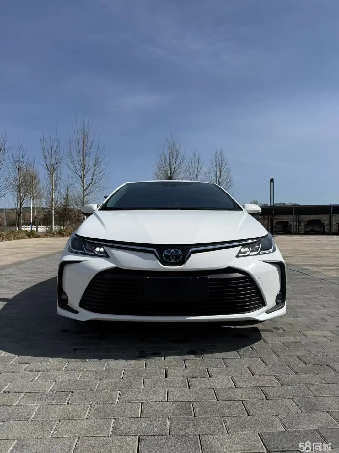 Toyota Corolla 2022 #2 Toyota Corolla 2022 car image #2