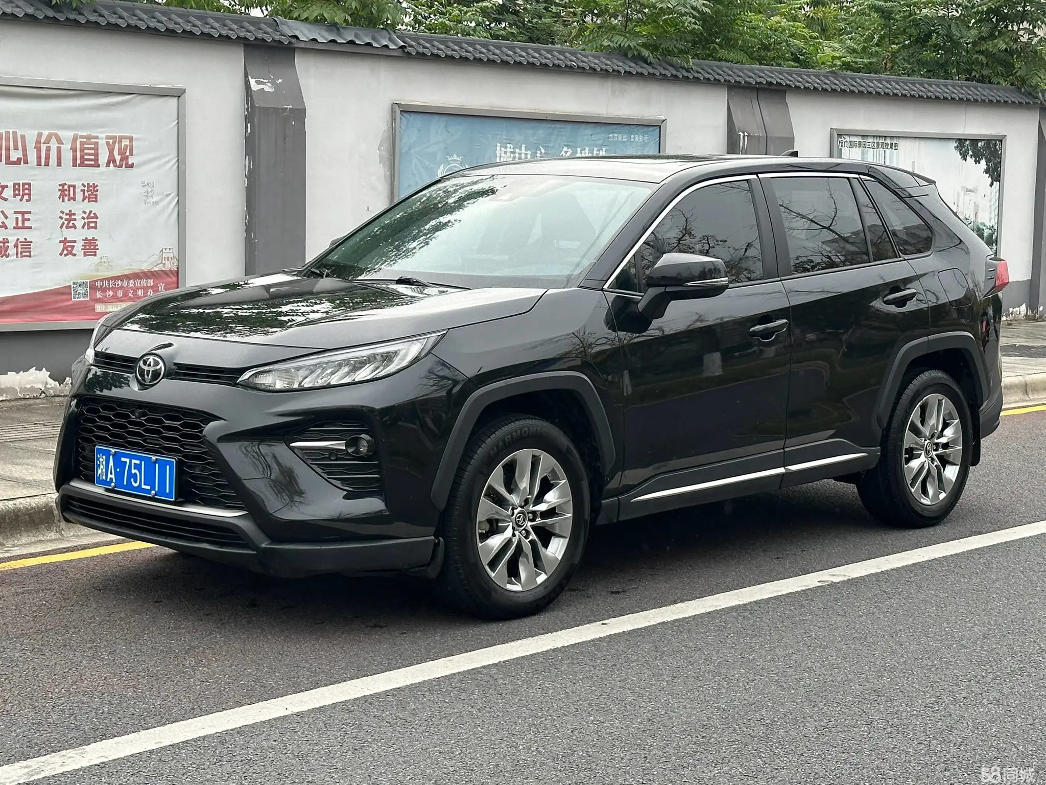 Toyota Wildlander 2022 imagem de carro #2