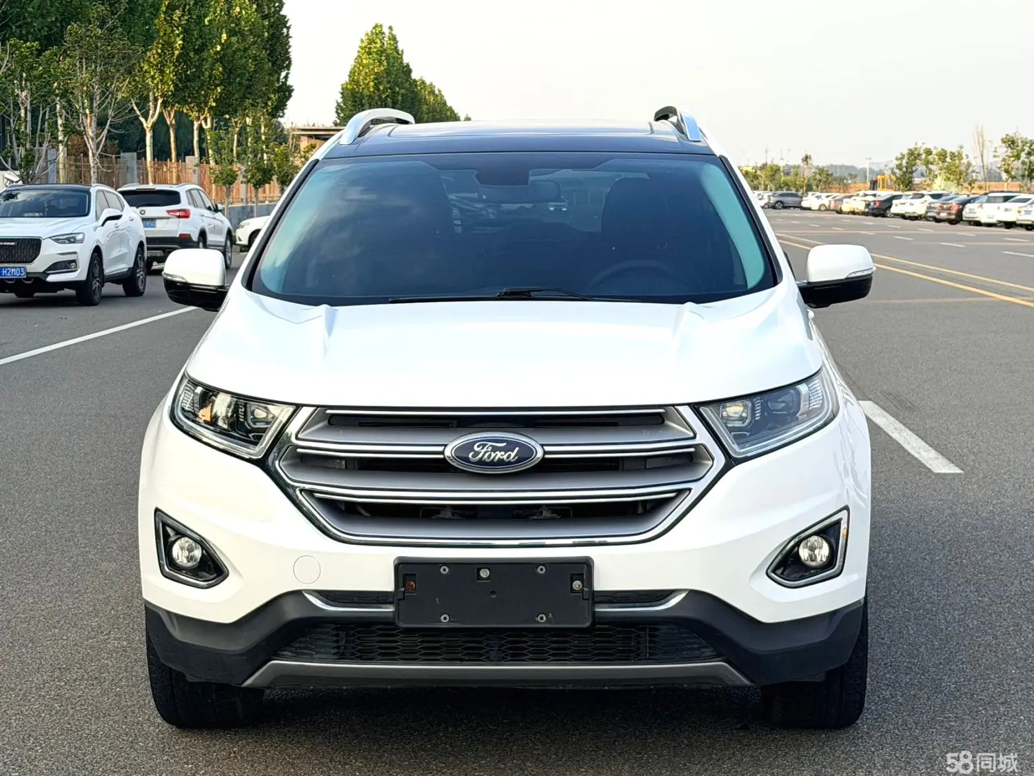 Ford Edge 2019 car image #2
