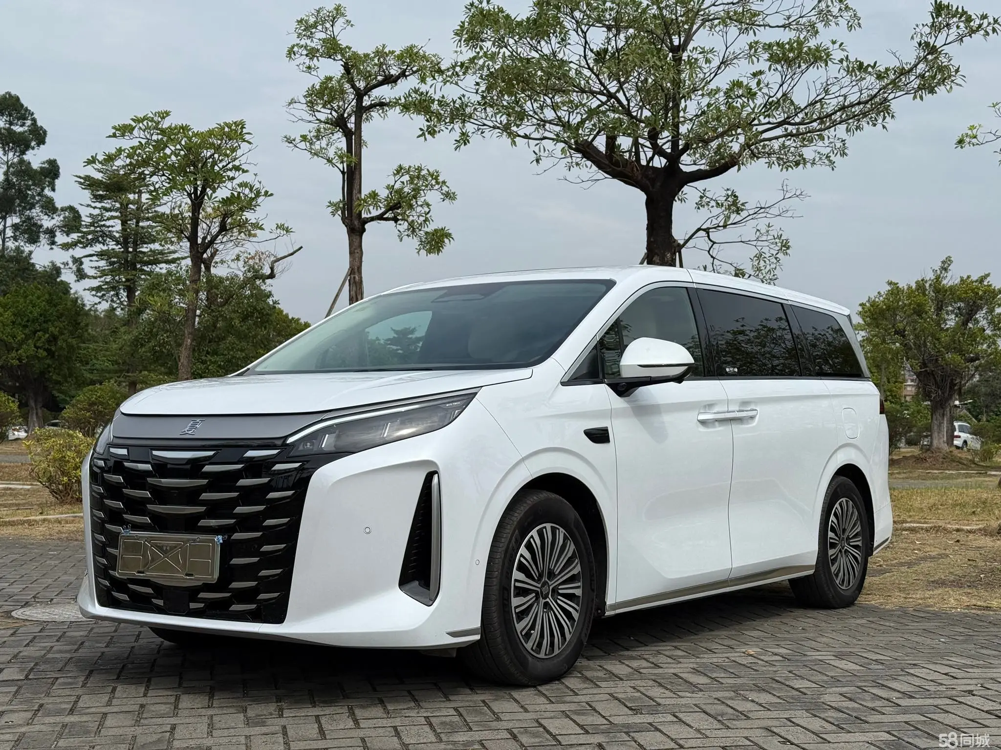 BYD Xia 2024 car image #2