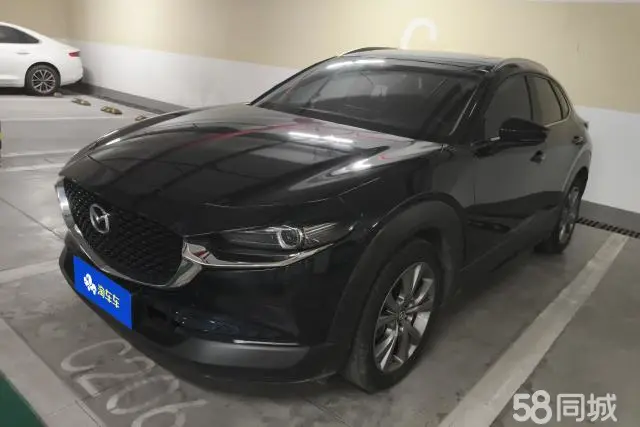 Mazda CX-30 EV 2020 imagen de coche #2