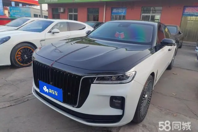 HongQi H9 2023 #2 HongQi H9 2023 immagine di auto #2