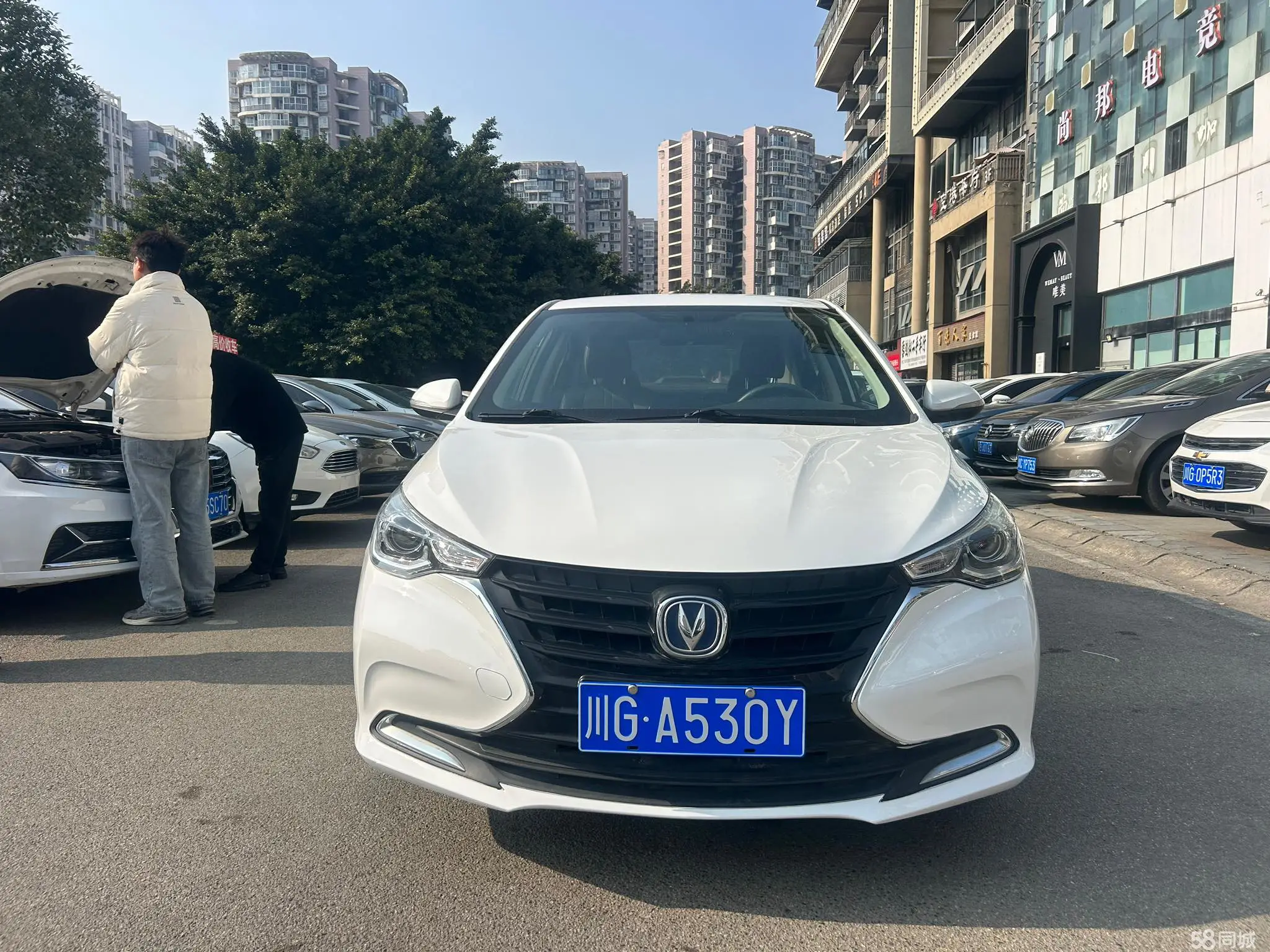 Changan Alsvin 2020 car image #2