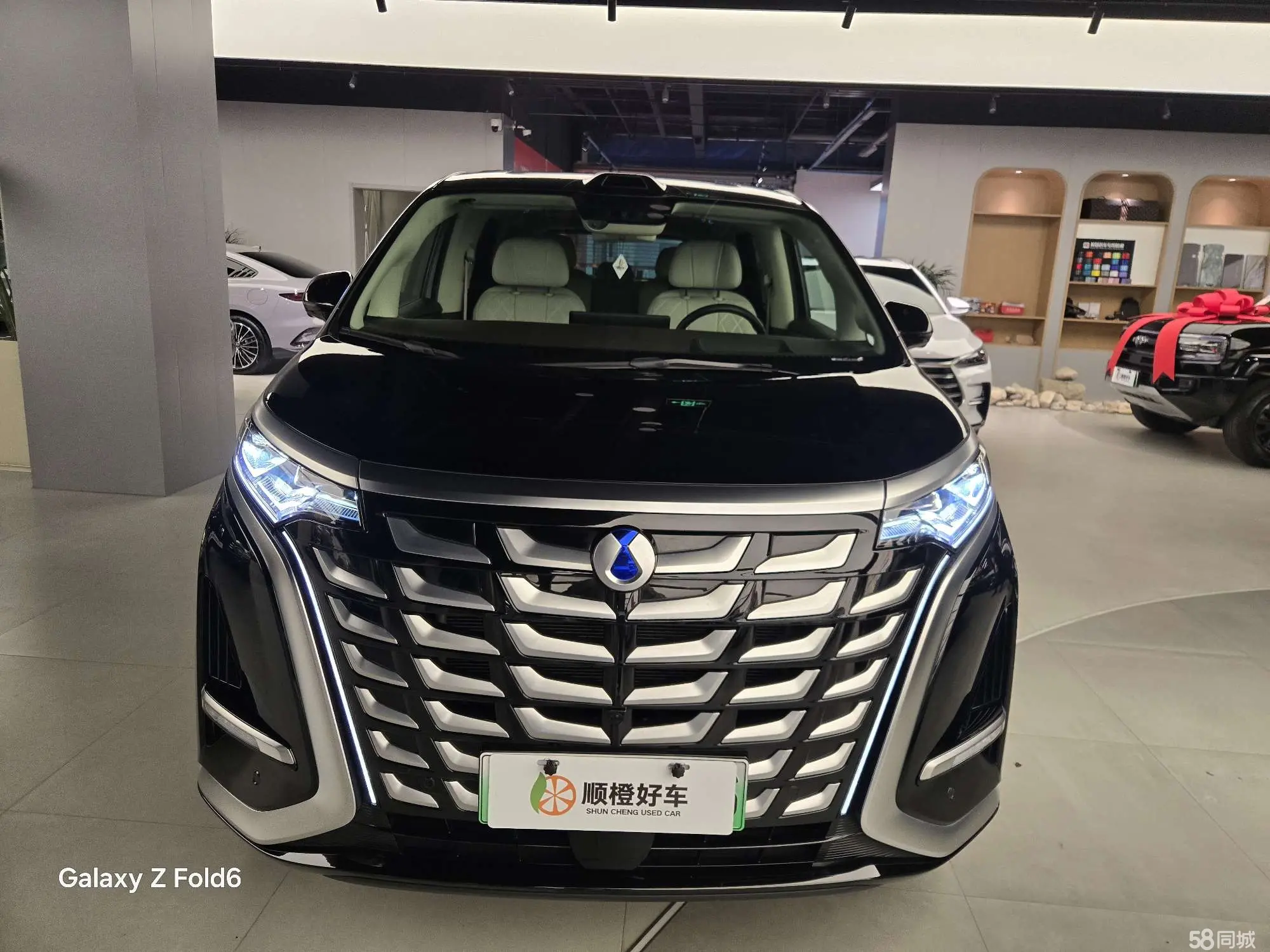 Denza D9 2024 imagem de carro #2