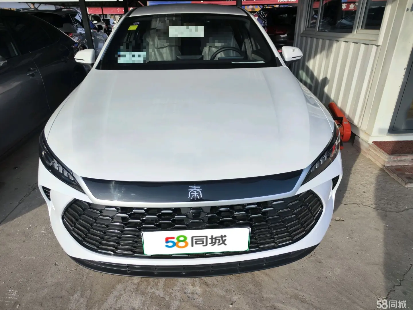 BYD Qin Plus 2025 صورة سيارة #2