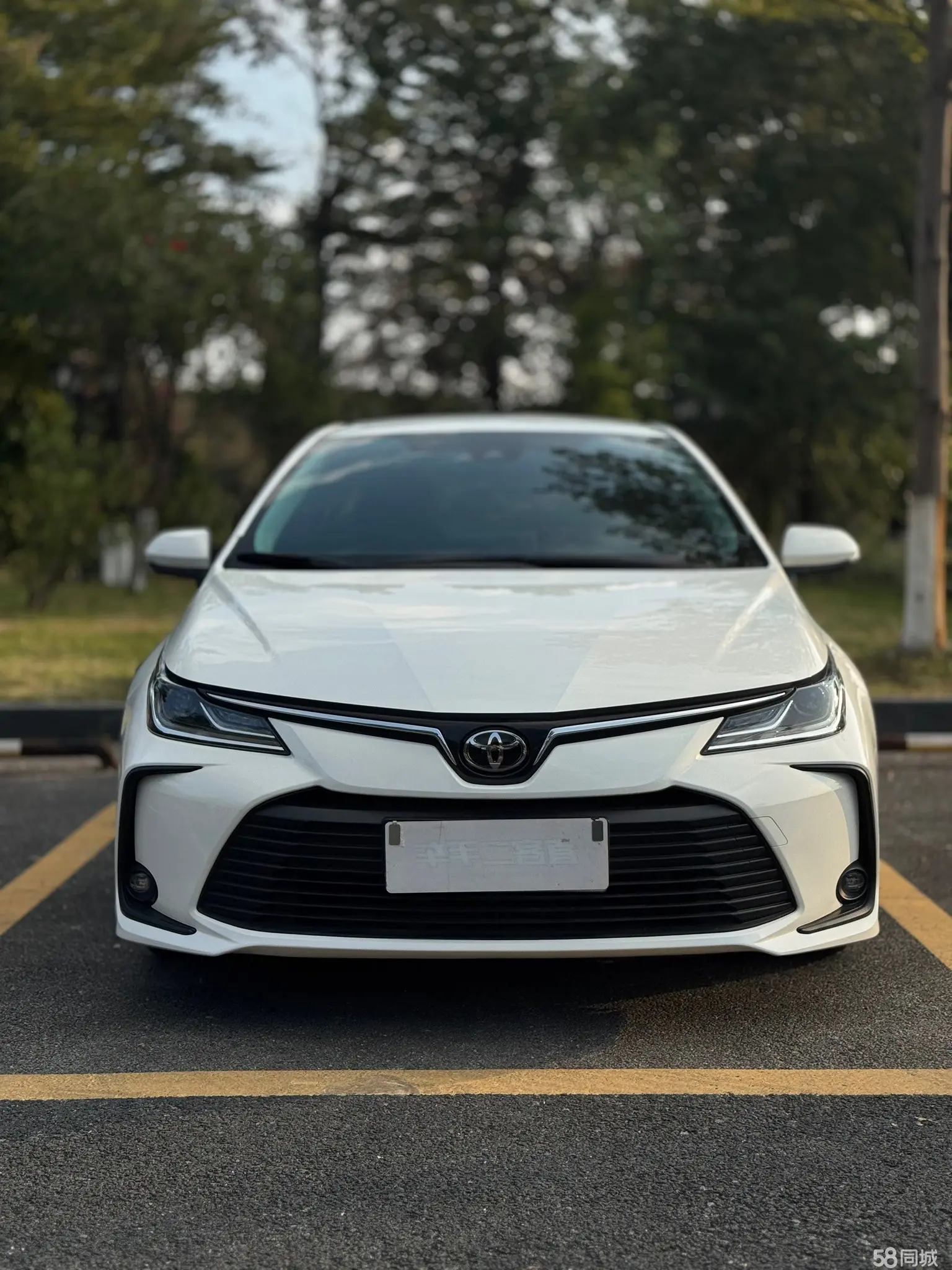 Toyota Corolla 2022 #2 Toyota Corolla 2022 car image #2