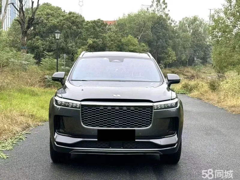 Li One 2021 imagen de coche #2