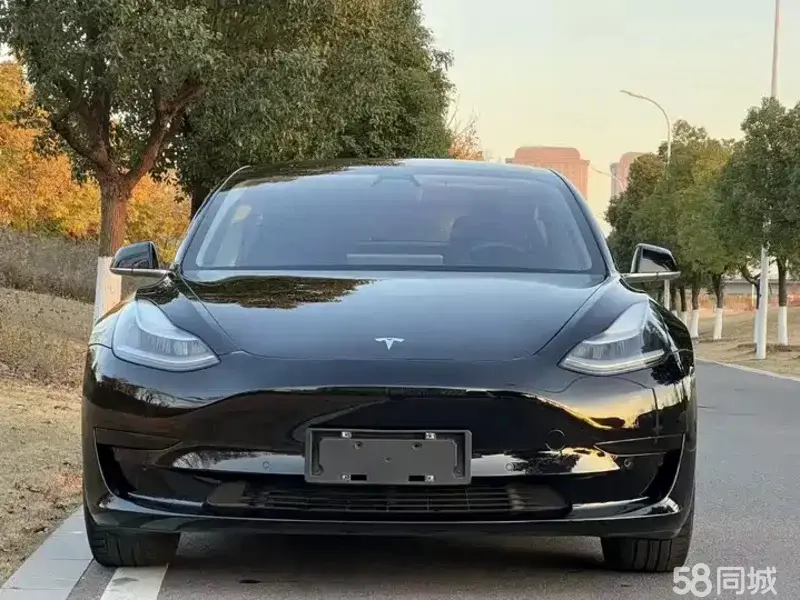 Tesla Model 3 2020 car image #2