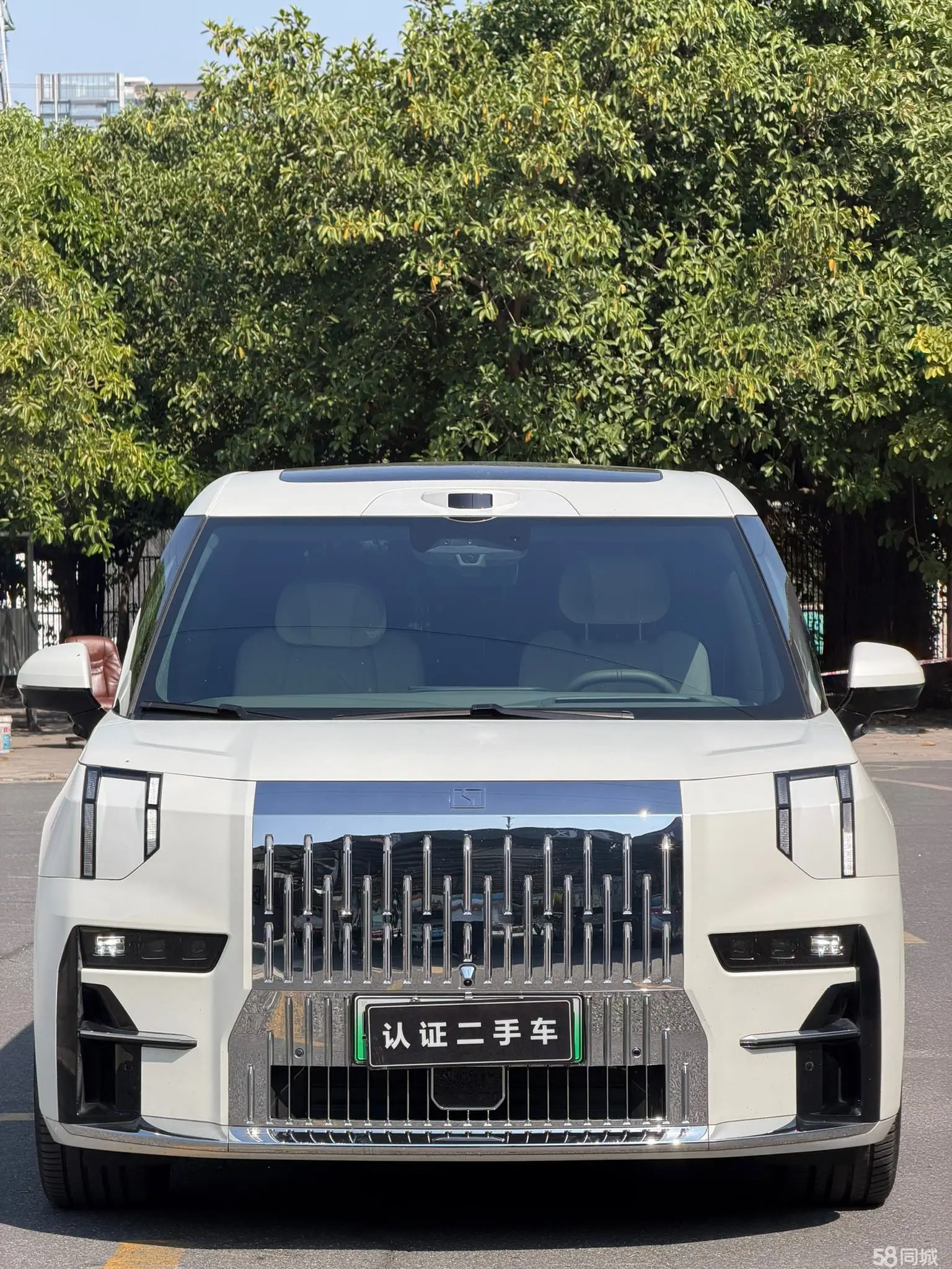 极氪 极氪009 2024 汽车图片 #2