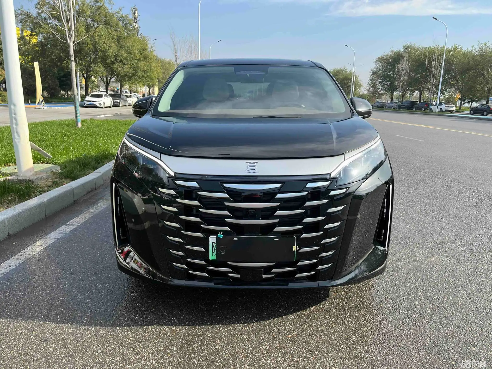 BYD Xia 2024 car image #2