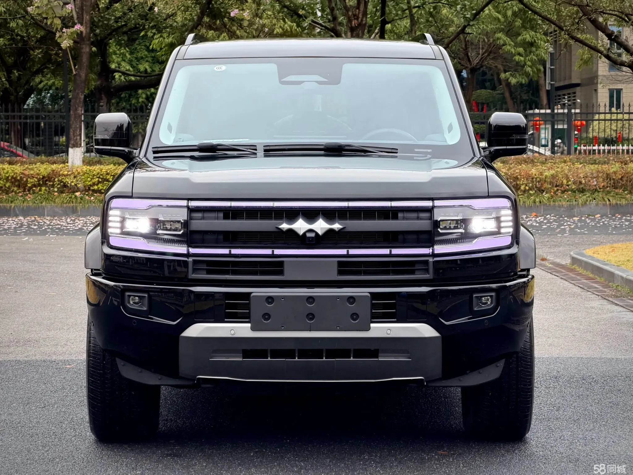 FangChengBao Leopard 5 2025 car image #2