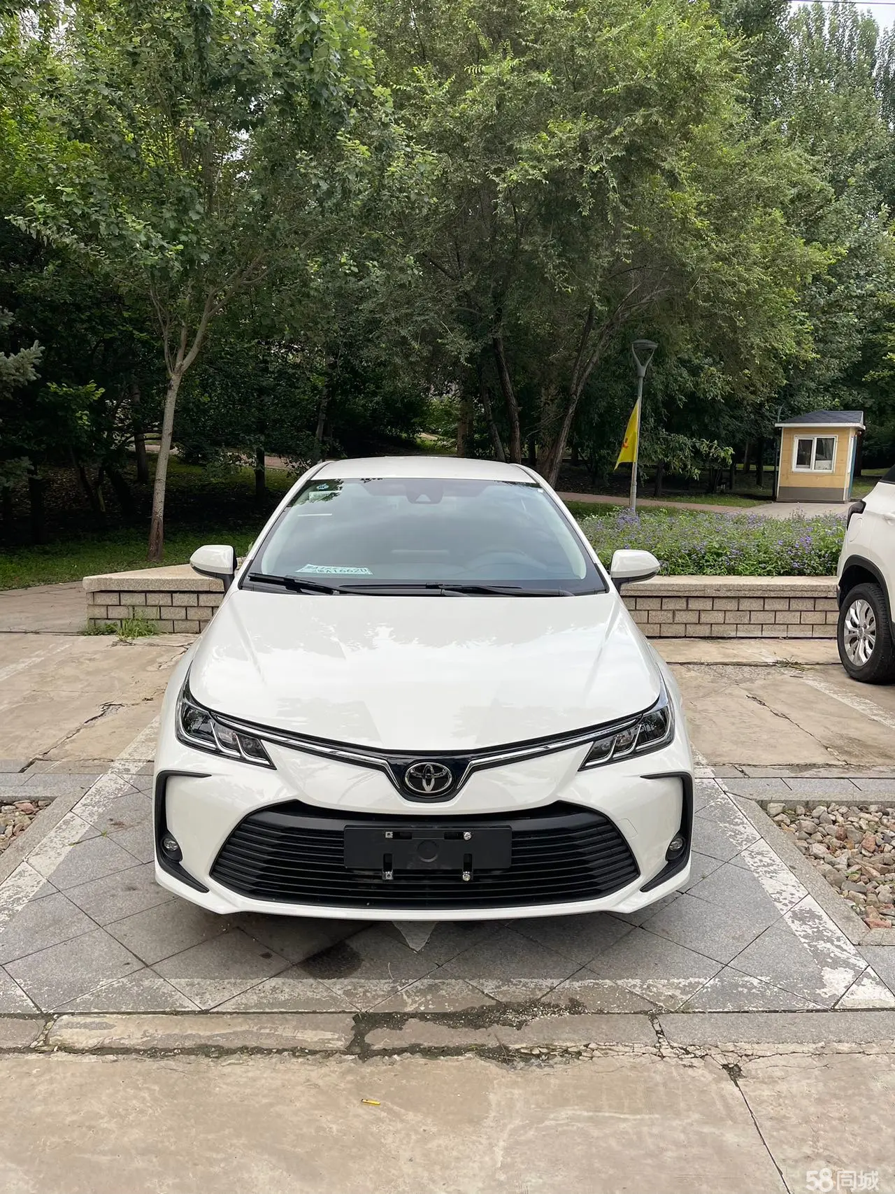 丰田 卡罗拉 2024 汽车图片 #2