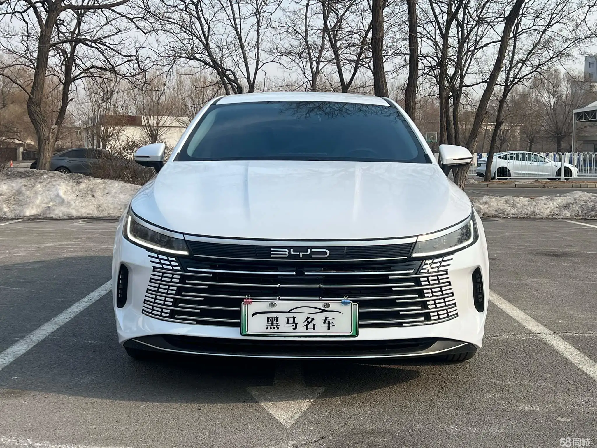 BYD Destroyer 05 2025 imagen de coche #2