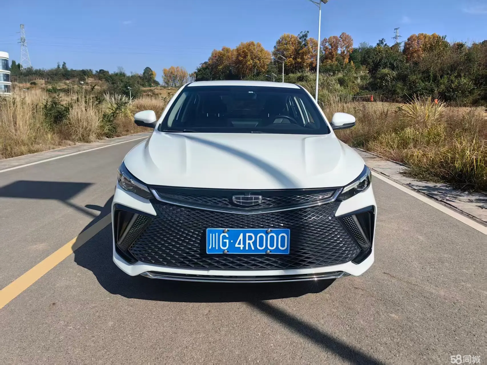 GEELY Emgrand L 2022 imagem de carro #2