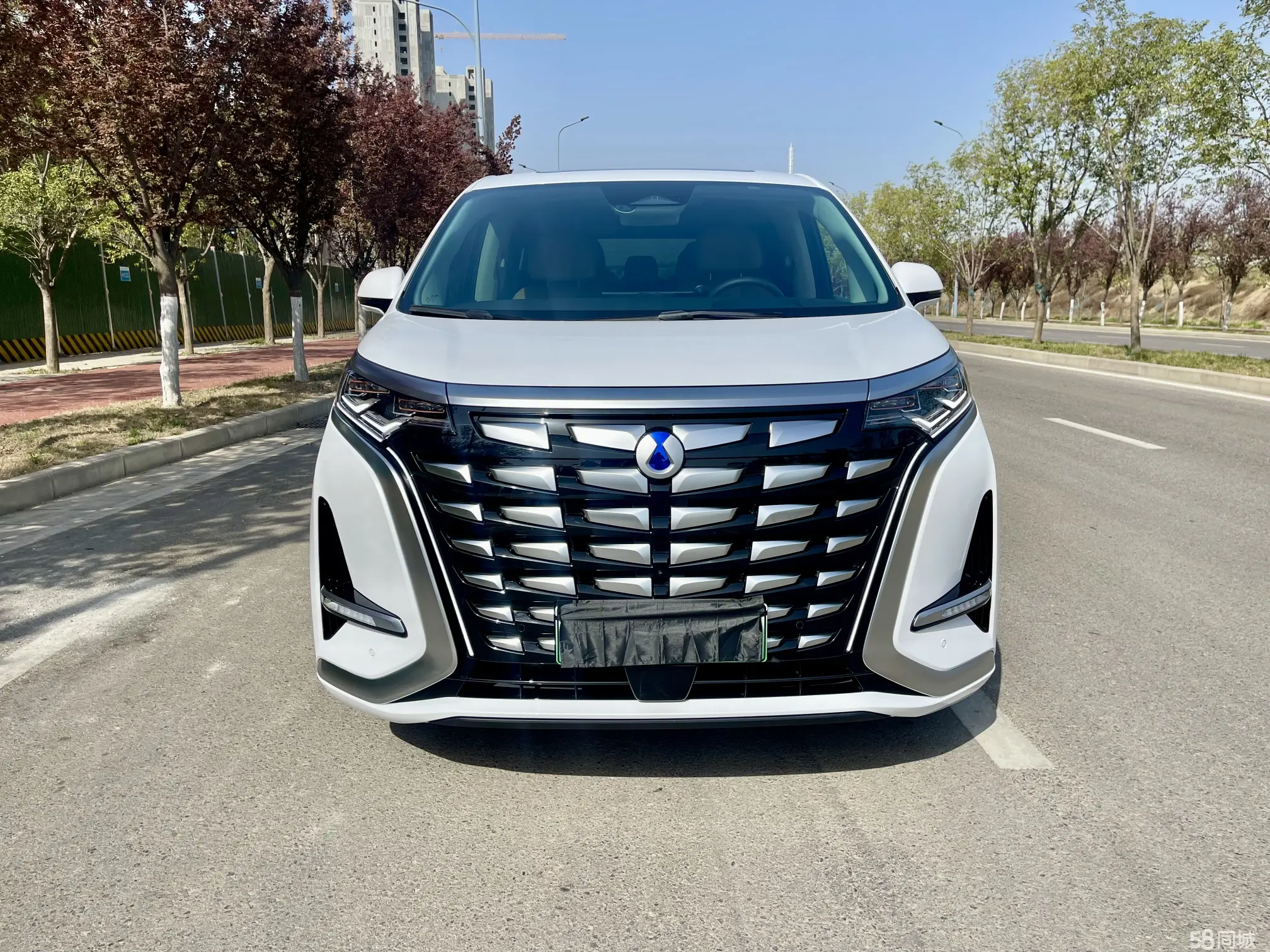 Denza D9 2024 immagine di auto #2