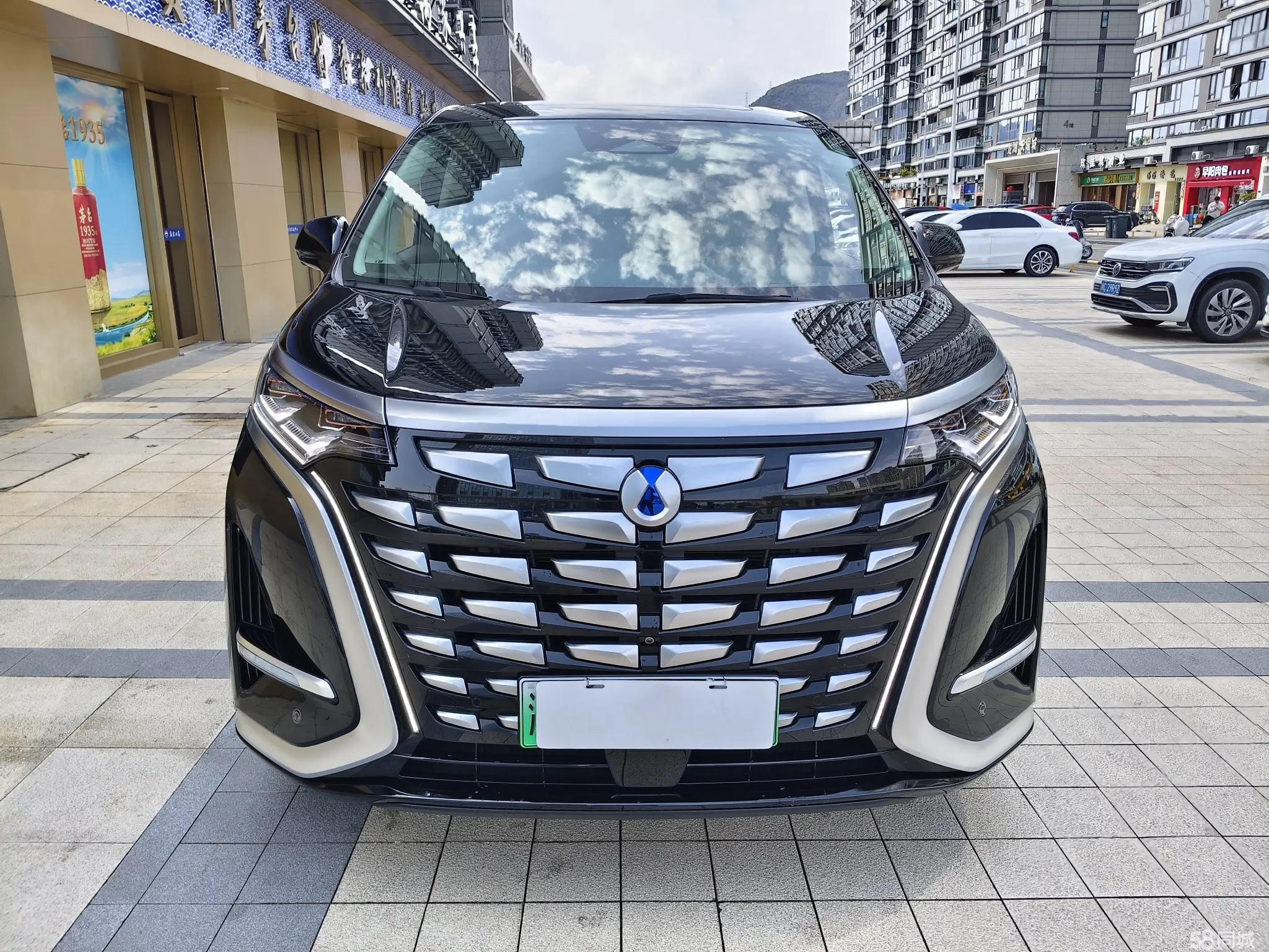 Denza D9 2024 immagine di auto #2