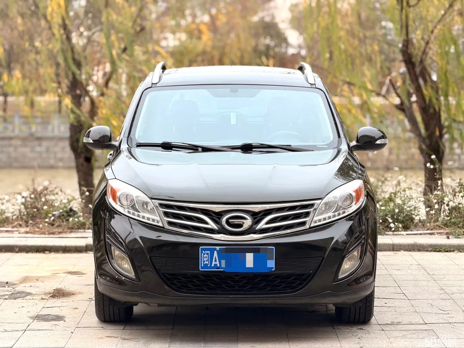 GAC Trumpchi GS5 2012 car image #2