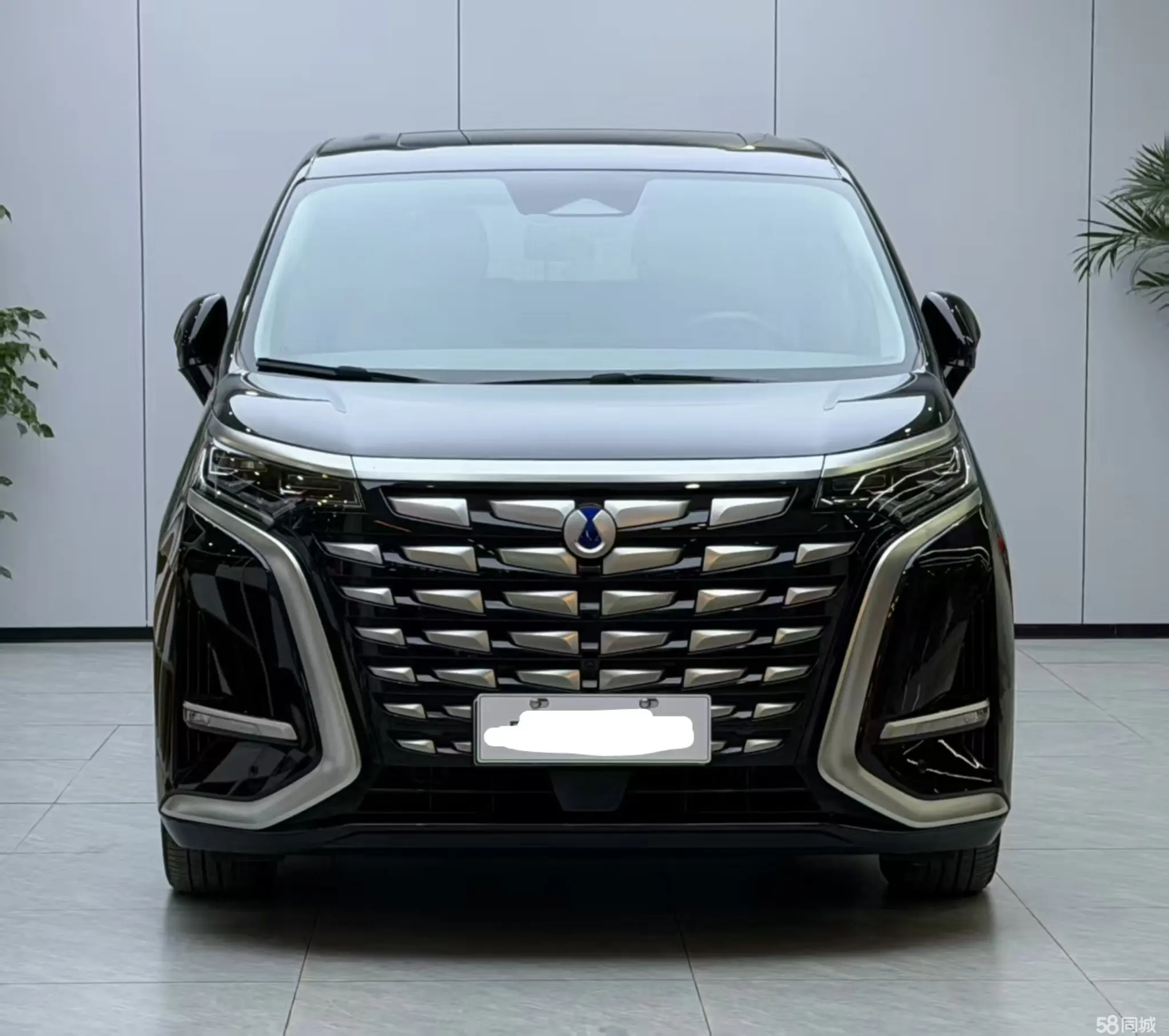 Denza D9 2024 صورة سيارة #2