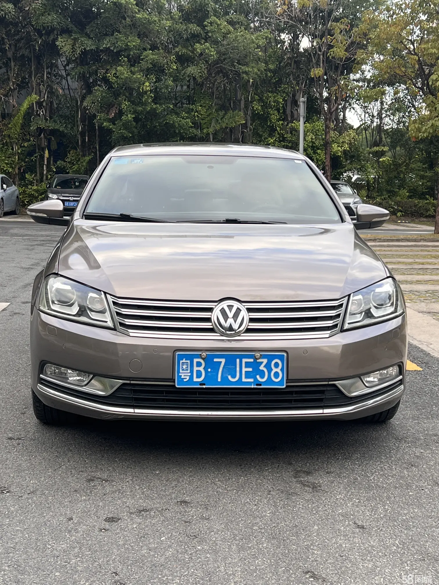 Volkswagen Magotan 2013 immagine di auto #2