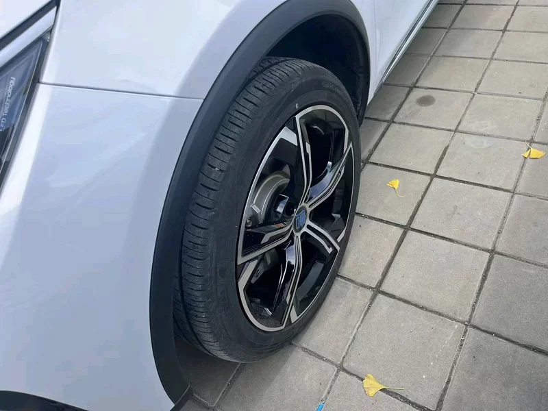 BYD 2021 car image #2