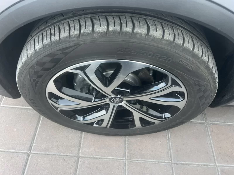 BYD Tang New Energy 2025 car image #2