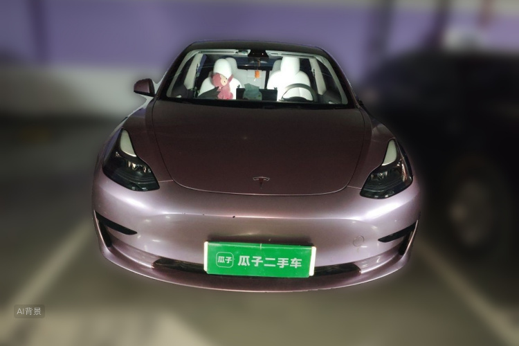 Tesla Model 3 2022 #3 Tesla Model 3 2022 car image #3