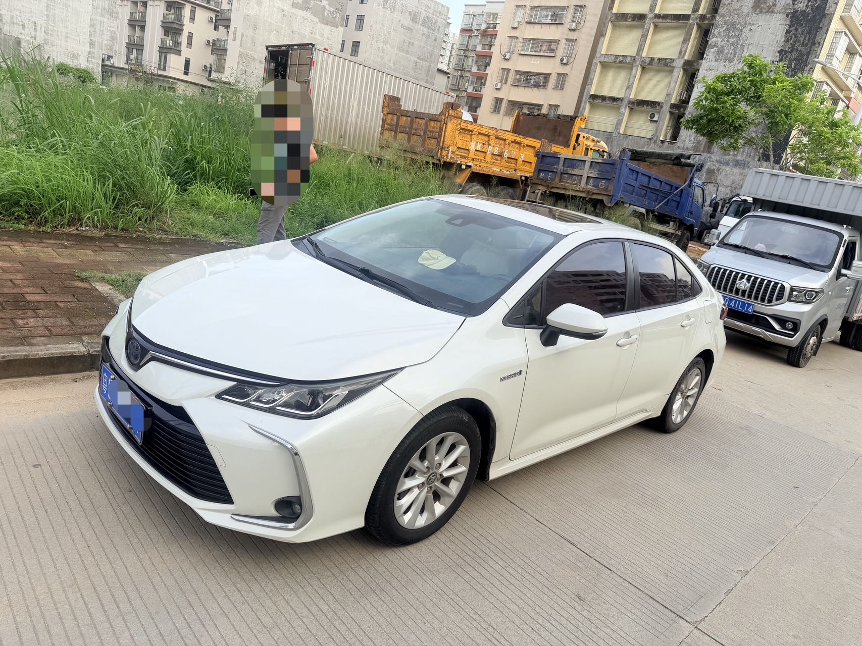 Toyota Corolla 2019 Toyota Corolla 2019 car image