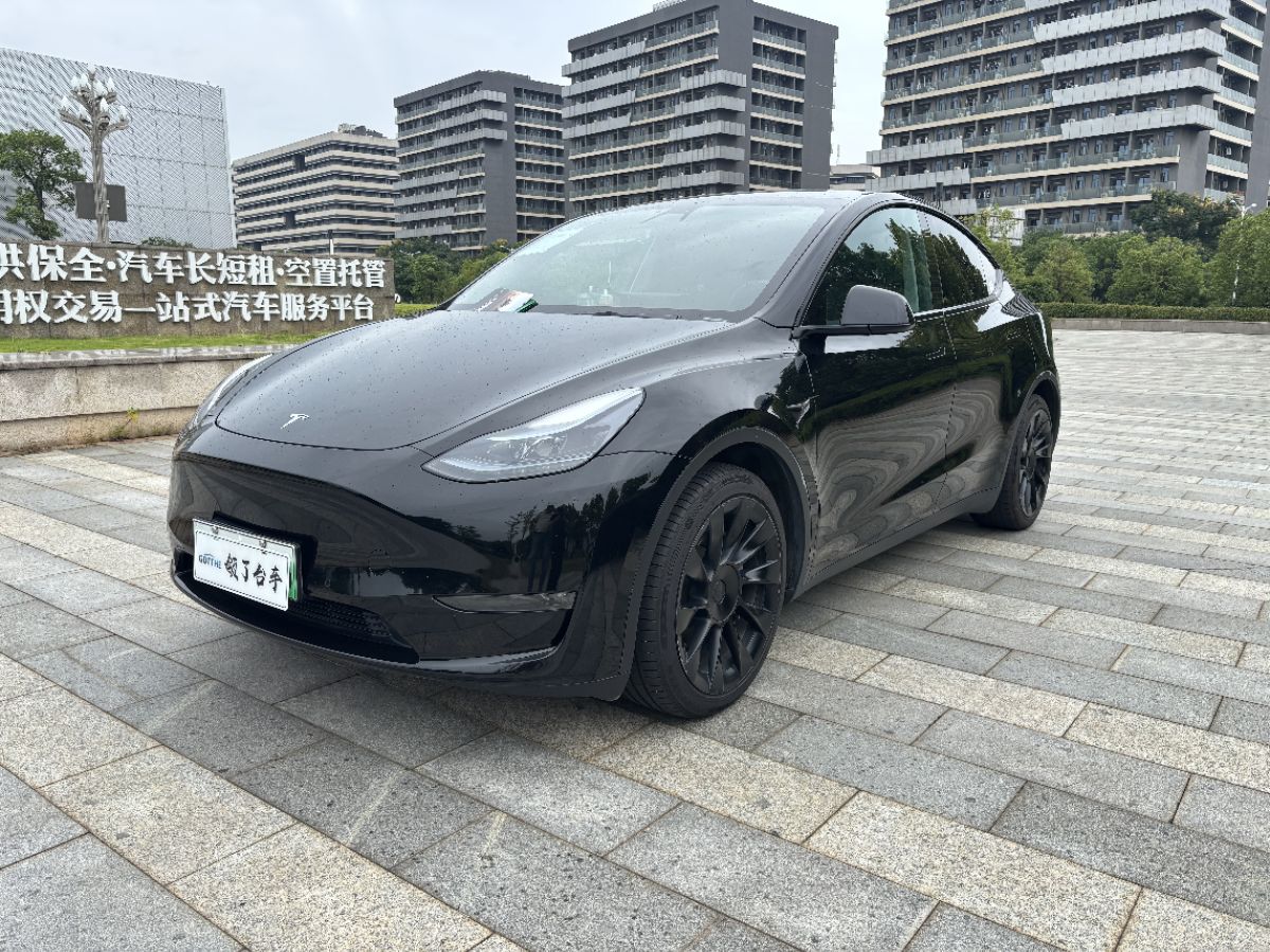 Tesla Model Y 2021 car image 