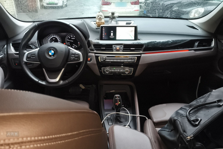 BMW X1 2019 imagem de carro #11