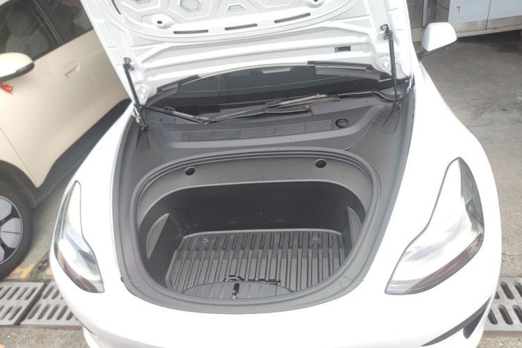 Tesla Model 3 2021 car image #20