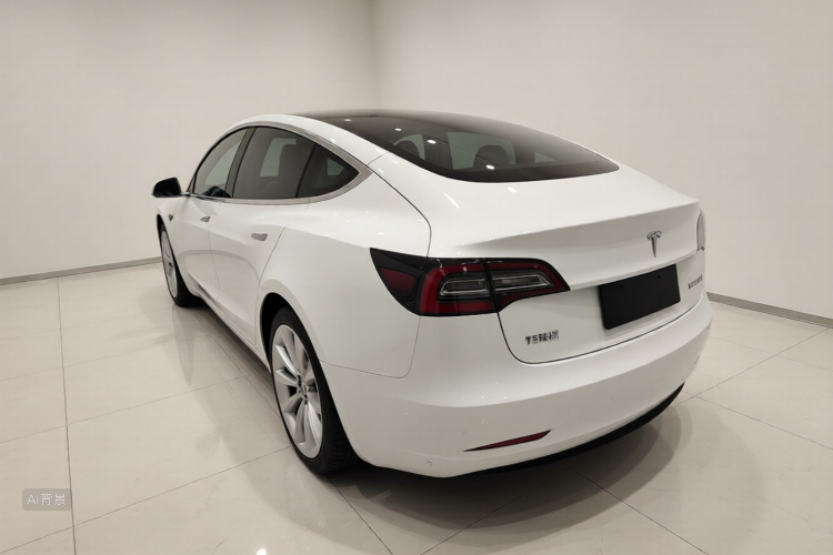 Tesla Model 3 2020 car image #5