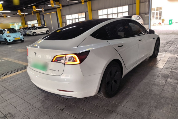 Tesla Model 3 2022 immagine di auto #7