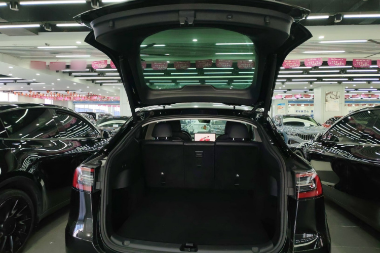 Tesla Model Y 2022 car image #19