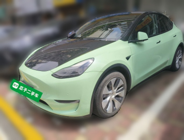 Tesla Model Y 2021 Tesla Model Y 2021 car image