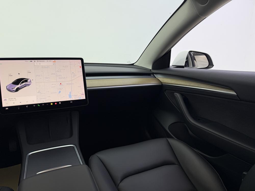 Tesla Model 3 2020 car image #14