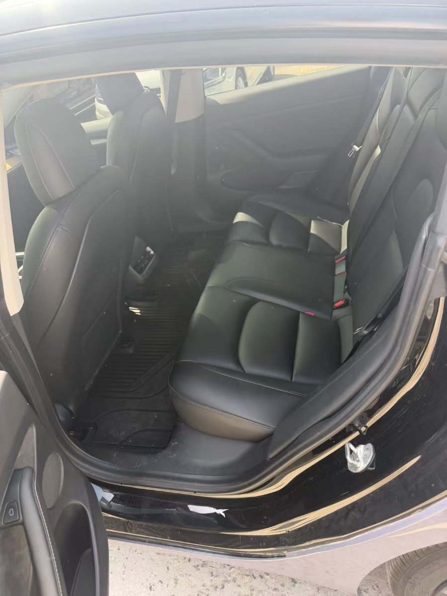 Tesla Model 3 2021 car image #3