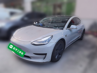 Tesla Model 3 2020 Tesla Model 3 2020 immagine di auto