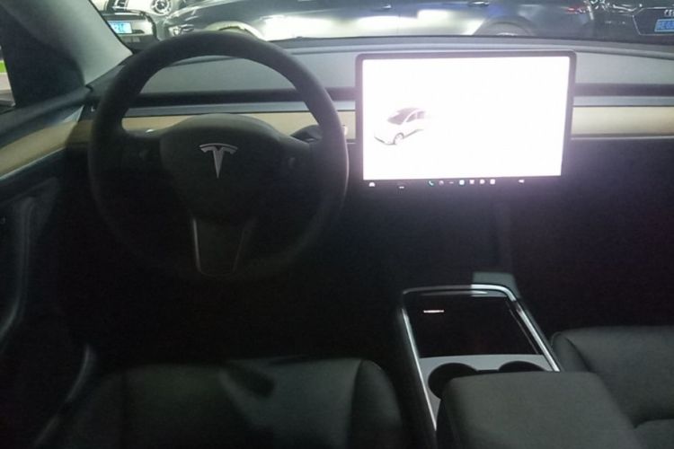 Tesla Model Y 2021 car image #11