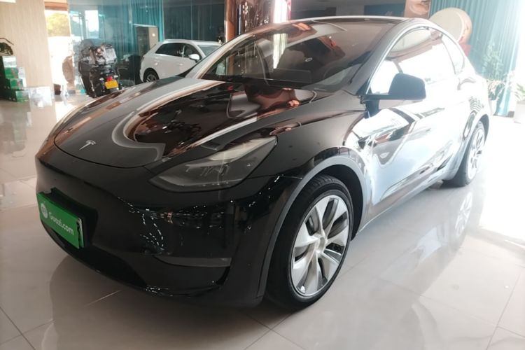 Tesla Model Y 2021 #2 Tesla Model Y 2021 car image #2