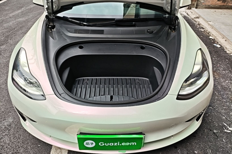 Tesla Model 3 2021 car image #20