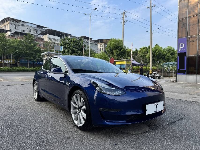 Tesla Model 3 2020 imagem de carro #2
