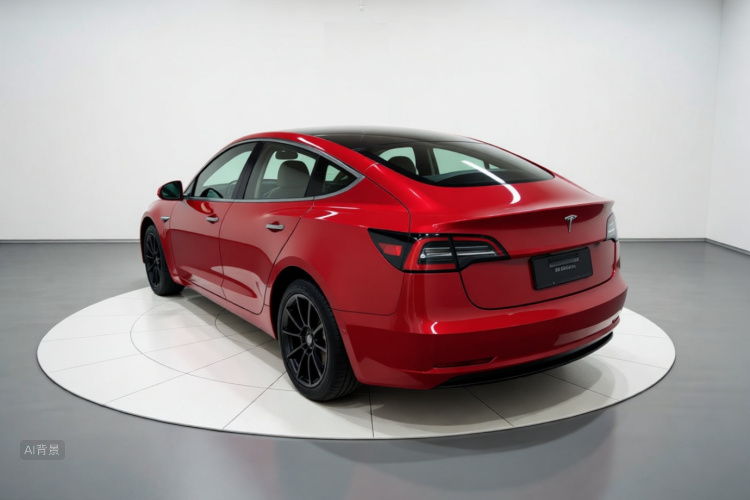 Tesla Model 3 2021 #5 Tesla Model 3 2021 car image #5