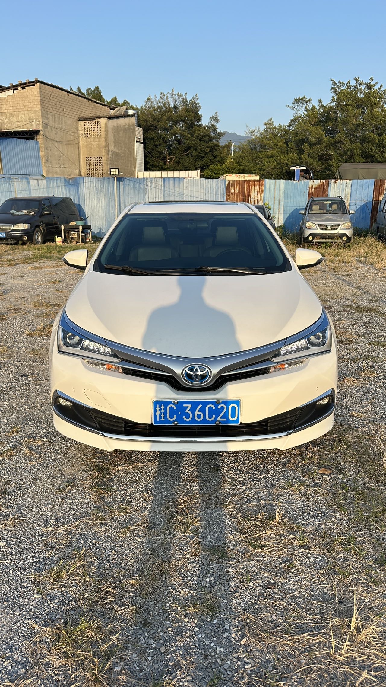 Toyota Corolla 2019 #2 Toyota Corolla 2019 immagine di auto #2