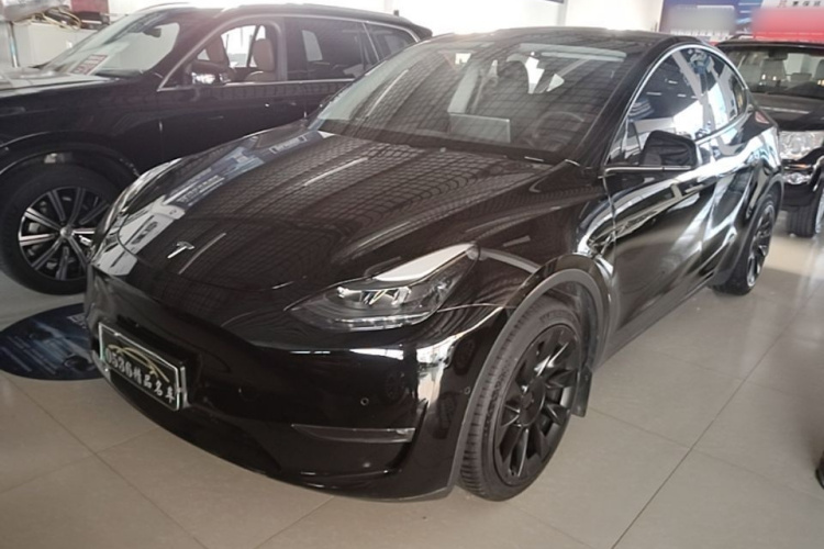 Tesla Model Y 2021 #2 Tesla Model Y 2021 car image #2