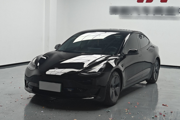 Tesla Model 3 2021 #2 Tesla Model 3 2021 car image #2