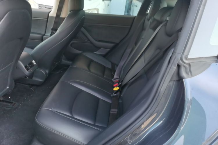 Tesla Model 3 2020 car image #17